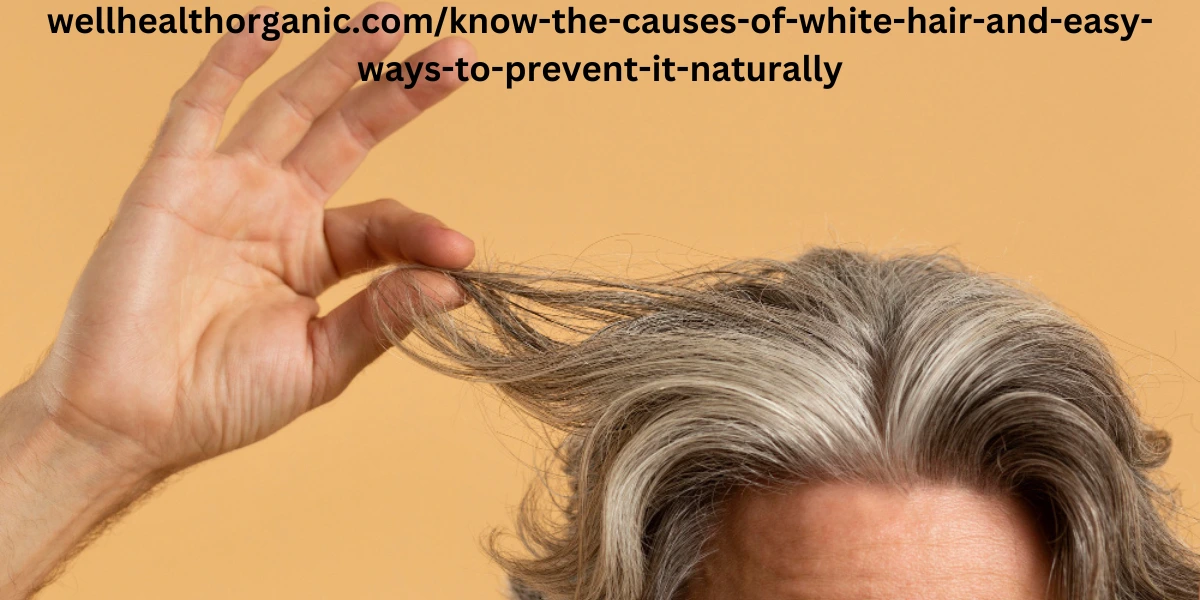 wellhealthorganic.com/know-the-causes-of-white-hair-and-easy-ways-to-prevent-it-naturally